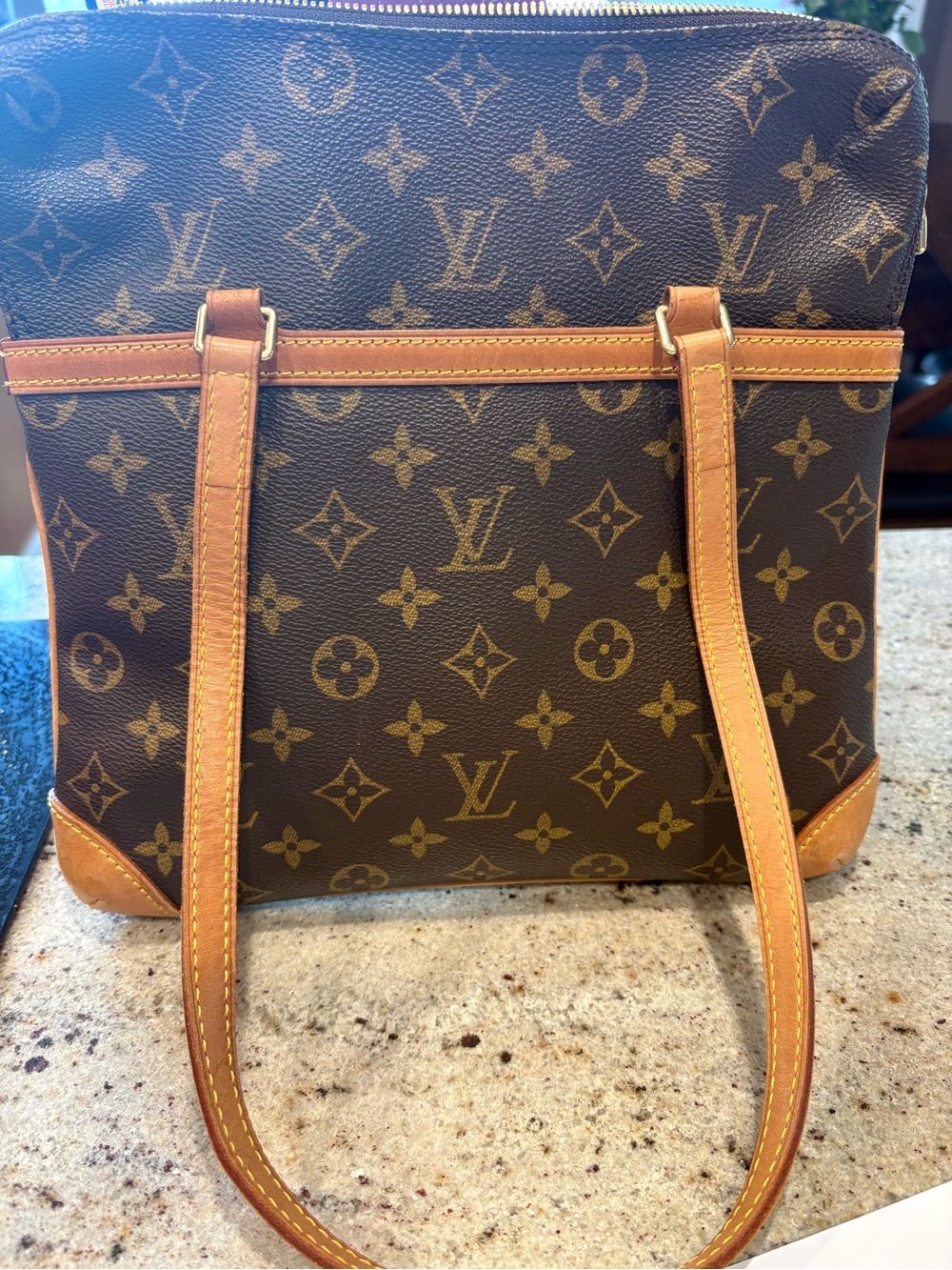 Louis Vuitton Monogram Canvas Shoulder Bag in Brown and Tan